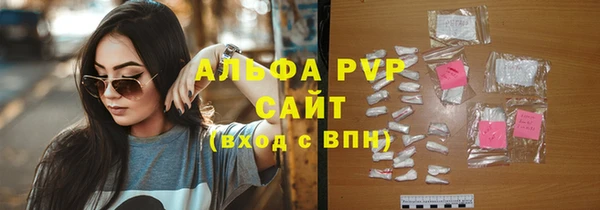 дживик Надым