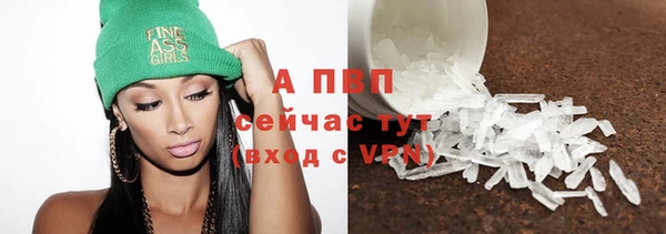 дживик Надым