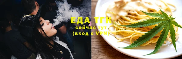 дживик Надым