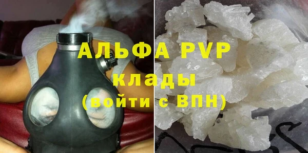 дживик Надым