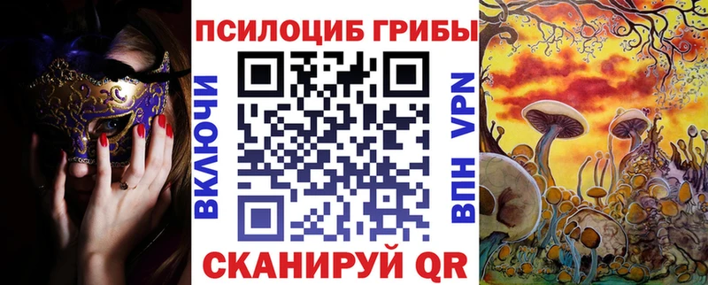 Псилоцибиновые грибы прущие грибы Рубцовск