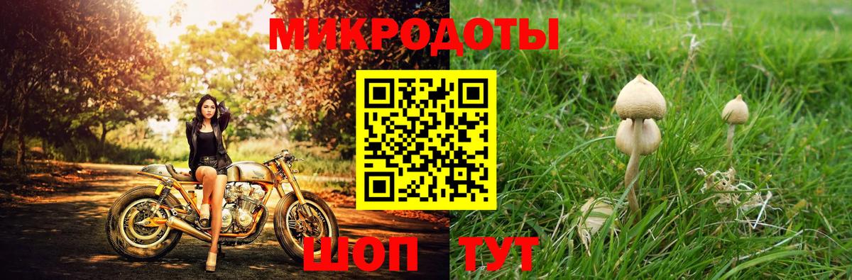 Рубцовск  Галлюциногенные грибы ЛСД  Вход с VPN 